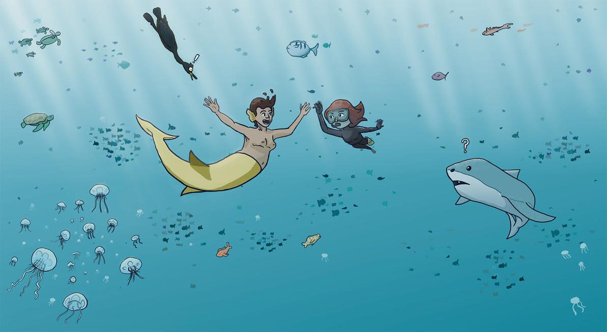 Illustration Under the Sea | Digital